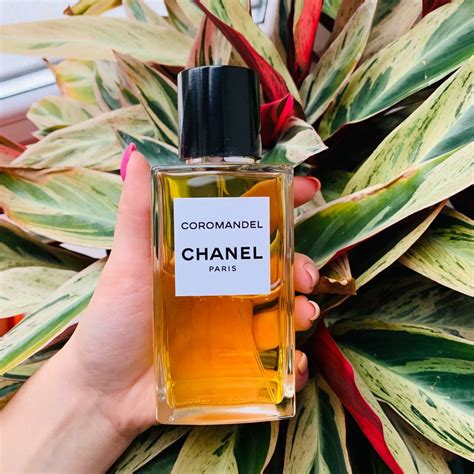 chanel coromandel prezzo|eau de parfum coromandel.